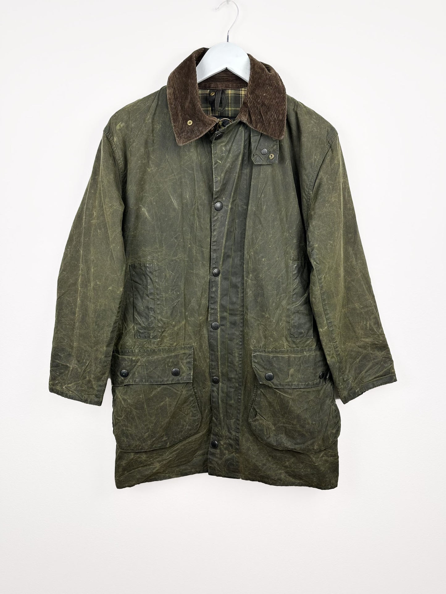 Barbour Border verde (25c48) - M
