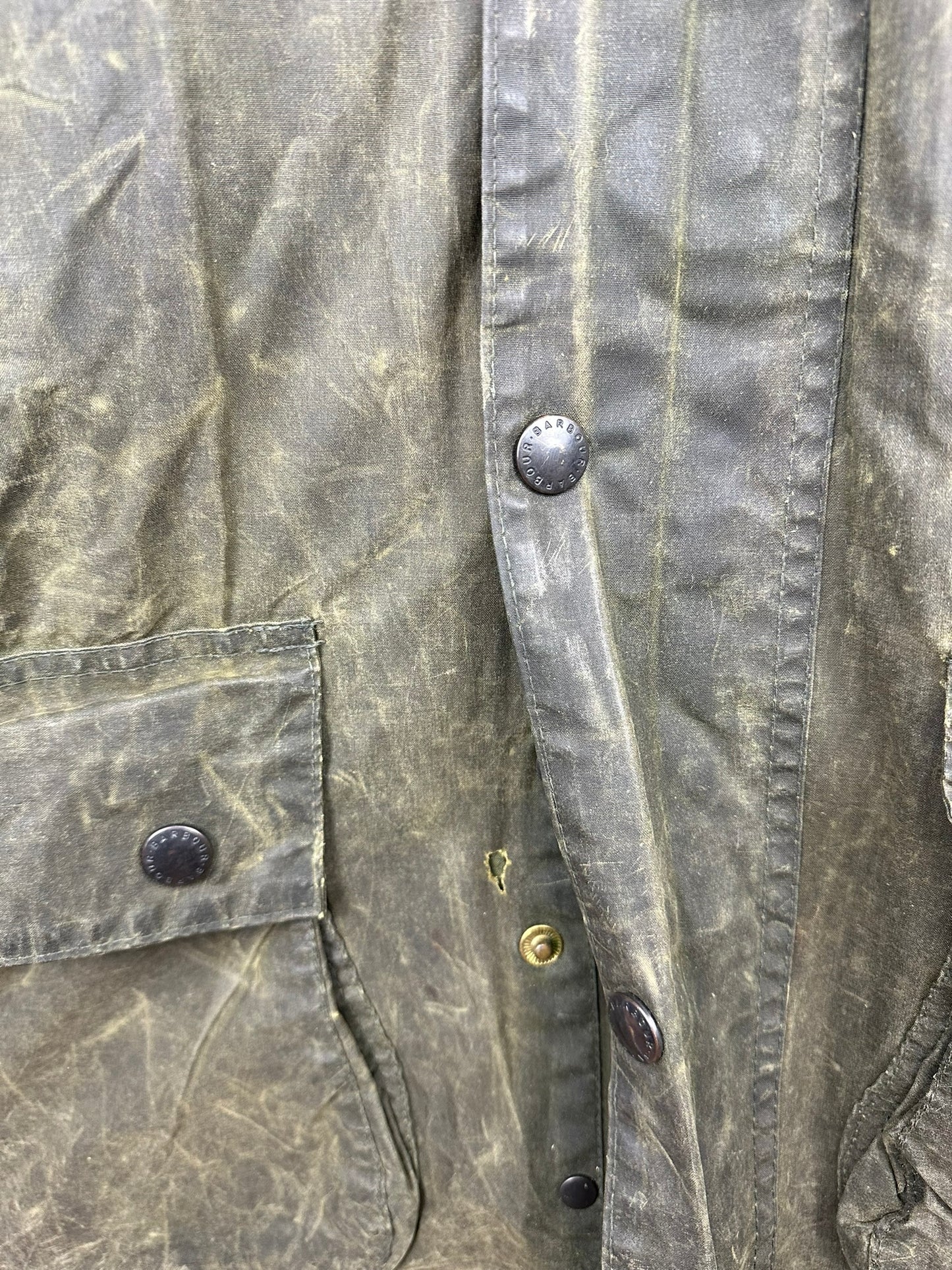 Barbour Border verde (25c48) - M