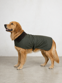 Cappottino Barbour wax dog coat per cane verde - XL